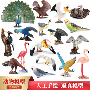仿真飞禽鸟类动物模型实心山雀秃鹫雪鸮老鹰鹦鹉鸳鸯犀鸟玩具摆件