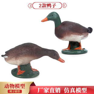 跨境儿童玩具实心仿真动物模型家禽牧场鸭子绿头鸭微景观家居摆件