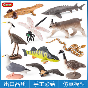 跨境儿童认知仿真动物模型野生北美蝾螈蝙蝠猞猁水蛇鲟鱼鲈鱼套装