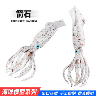 儿童科氏启蒙实心仿真动物玩具泥盆纪白垩纪箭石远古海生动物模型