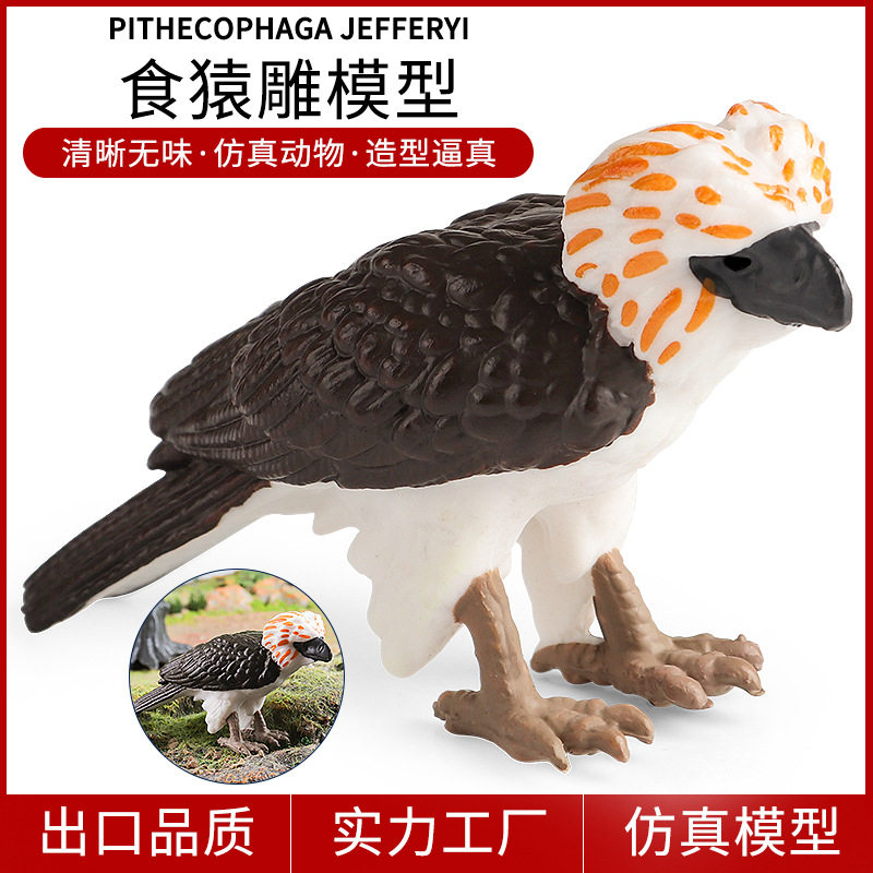 仿真动物模型实心食猿雕飞禽鸟类食猴鹰菲律宾雕手办儿童科教玩具