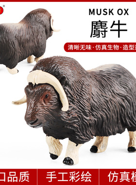 跨境儿童实心仿真动物模型牧场北极麝香小牛北极麝牛玩具家居摆件