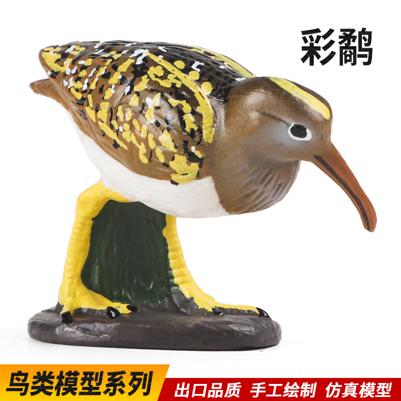 儿童仿真动物模型鹬科模型湿地海鸥彩鹬鸽子玩具鸟类展览馆道具