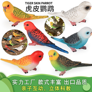 仿真实心动物模型动物儿童玩具虎皮鹦鹉娇凤鹦哥认知礼物沙盘摆件