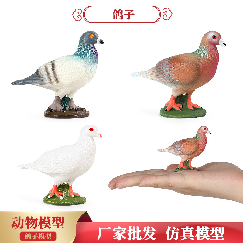 仿真飞禽动物实心模型鸽子信鸽广场鸽子儿童认知玩具场景摆件装饰