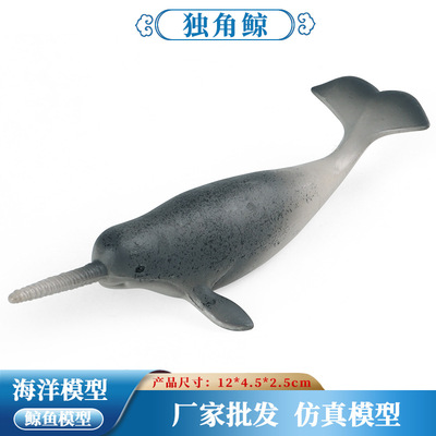 跨境海洋生物动物仿真塑胶模型独角鲸一角鲸儿童早教认知玩具