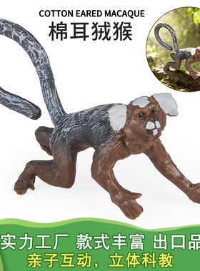 跨境仿真实心野生动物幼崽模型猴子棉耳狨猴长臂猿幼崽亚洲象幼崽