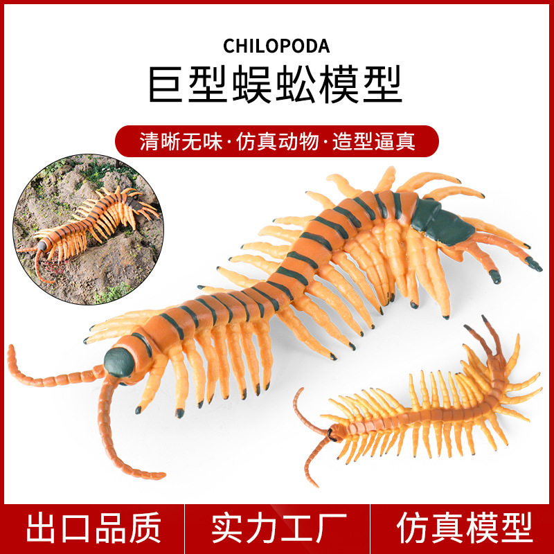 跨境仿真蜈蚣模型动物爬行昆虫玩具儿童认知男女孩摆件万圣节整蛊