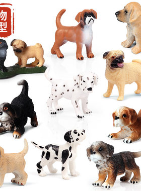 仿真迷你拳狮犬沙皮狗金毛宠物狗动物模型儿童玩具多肉蛋糕摆件