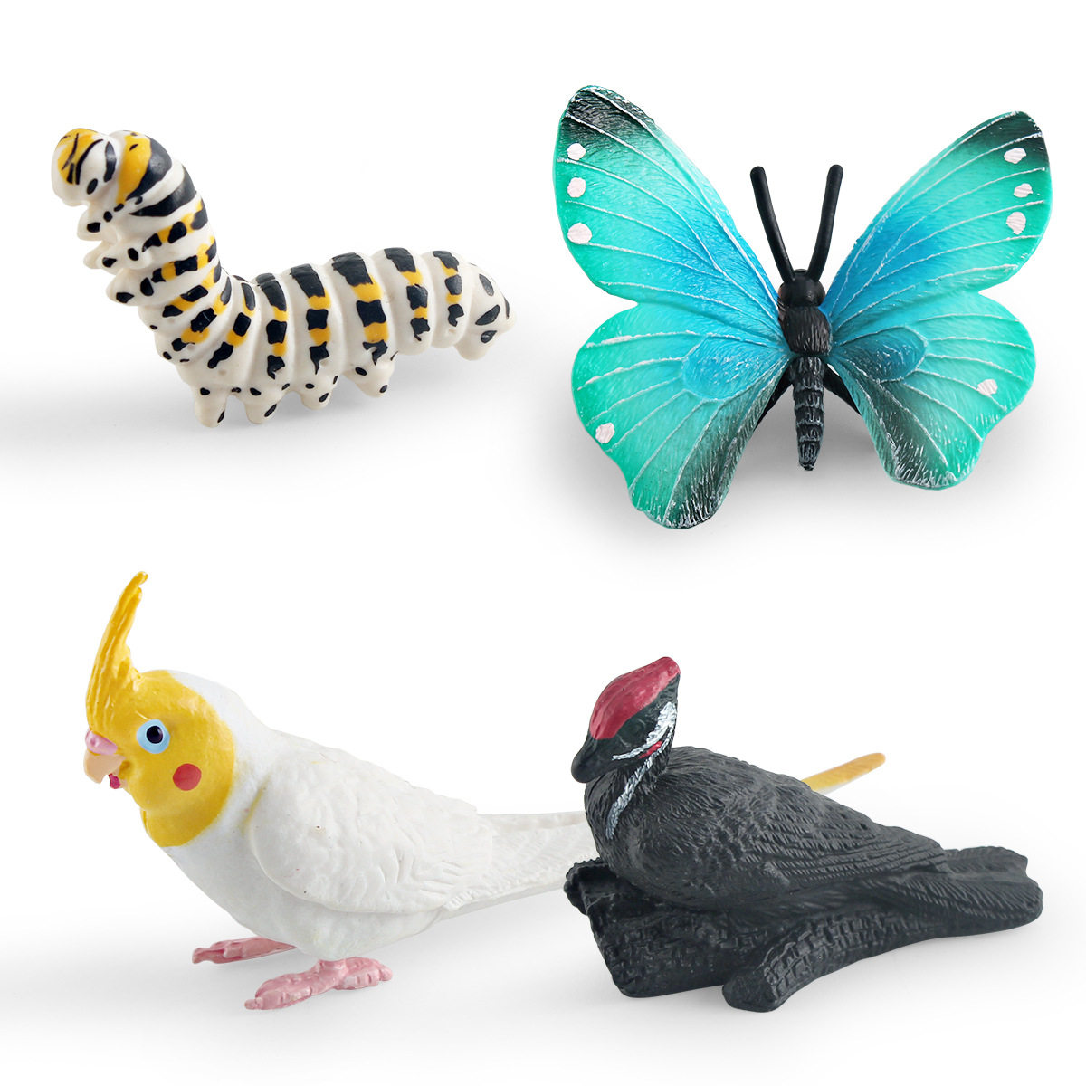 跨境仿真野生昆虫鸟类动物模型儿童认知蝴蝶凤头鸊鷉玄凤鹦鹉摆件