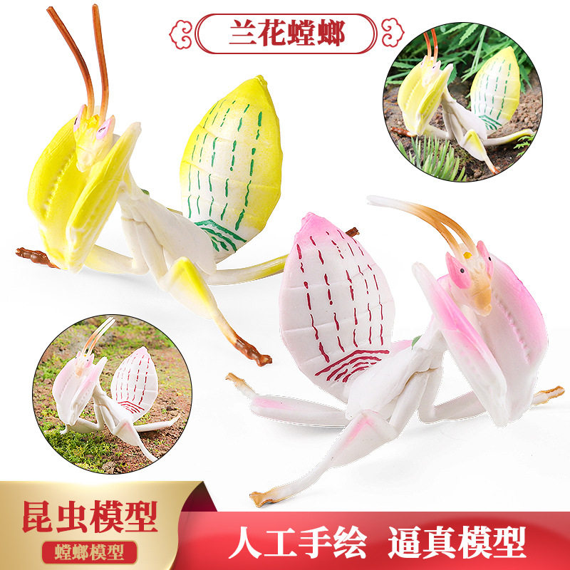 跨境仿真昆虫动物模型兰花螳螂屎壳郎蝴蝶七星瓢虫蚂蚁蜻蜓摆件