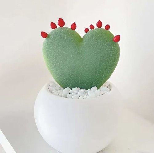 【此生只爱一个人】多肉植物一片爱心阳台桌面心型心叶球兰盆栽