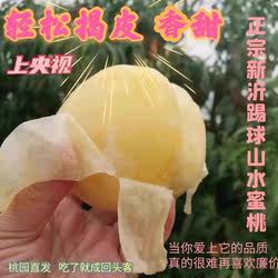 新沂桃子新鲜水果水蜜桃现摘现发当季水果新鲜整箱时令精品大果桃