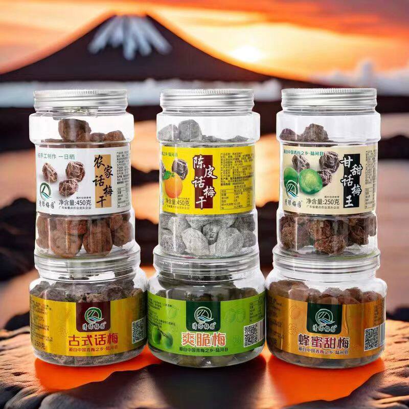 清绿梅园陈皮话梅干网红孕妇梅子零食酸甜话梅蜜饯果汕尾陆河特产