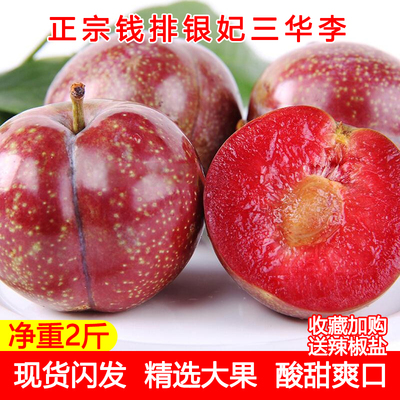 广东信宜钱排正宗银妃红心三华李新鲜水果孕妇当季脆甜特大果李子