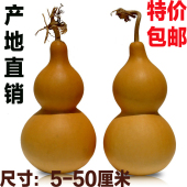 天然葫芦挂件摆件龙头葫芦宝葫芦文玩把玩手捻葫芦特大葫芦真葫芦