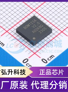 全新原装 BGM123A256V2R 封装 SMD-56P 蓝牙模块