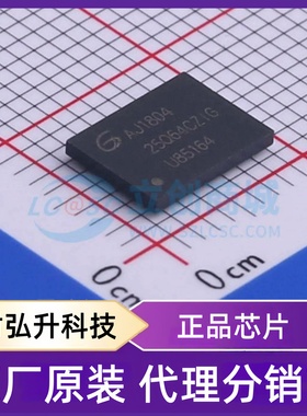 全新原装 GD25Q64CZIGY 封装 TFBGA-24 NOR FLASH
