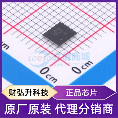 全新原装 STM32F205REY6TR 封装 WLCSP-64 单片机(MCU/MPU/SOC)