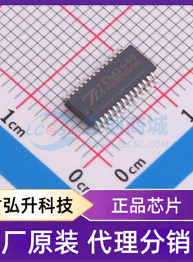 全新原装 TM1640(TA2103 SSOP28) 封装 SSOP-28 LED驱动