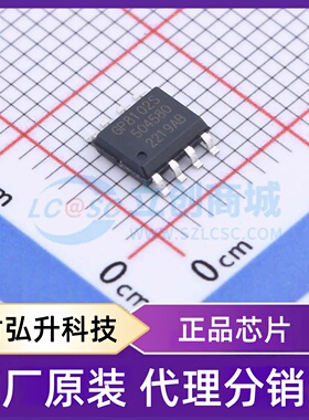 全新原装 GP8102S-TC50-EW 封装 ESOP-8 ADC/DAC-专用型