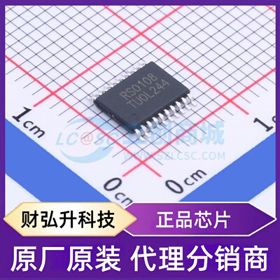 原装正品 RS0108YQ20 封装TSSOP-20 转换器/电平移位器
