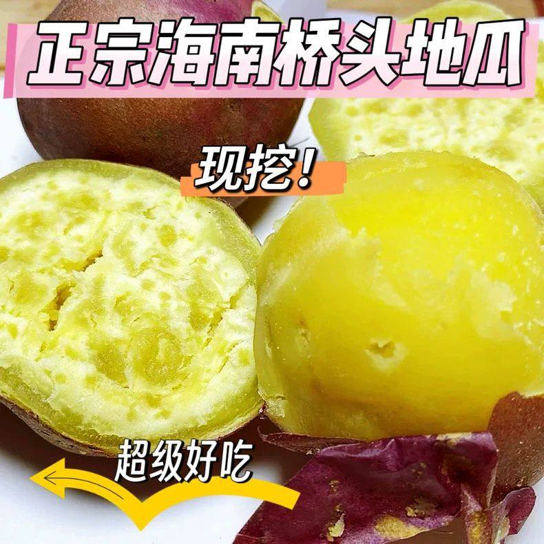 海南澄迈桥头富硒地瓜黄心鸡蛋黄板栗粉糯甜番薯蒸烤红薯新鲜现挖