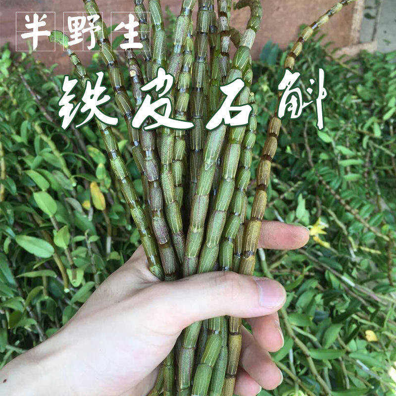 新鲜铁皮石斛鲜条500g乐清雁荡山霍山石斛枫斗中药材四五年生干花