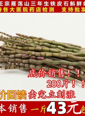 新鲜铁皮石斛鲜条500g乐清雁荡山霍山石斛枫斗中药材四五年生干花