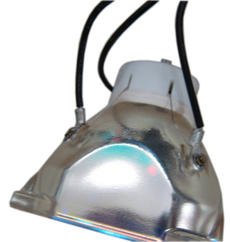 三洋PLC-XU111 PLC-XU1050C PLC-XU101原装投影机投影仪灯泡