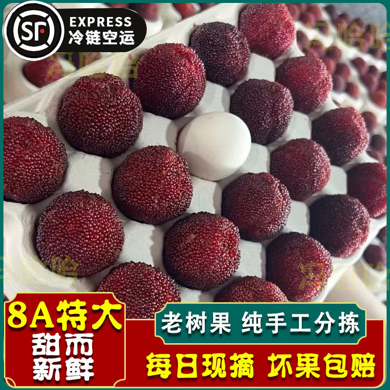 8A正宗浙江仙居杨梅新鲜东魁杨梅鲜果孕妇水果特级果60颗现摘礼盒