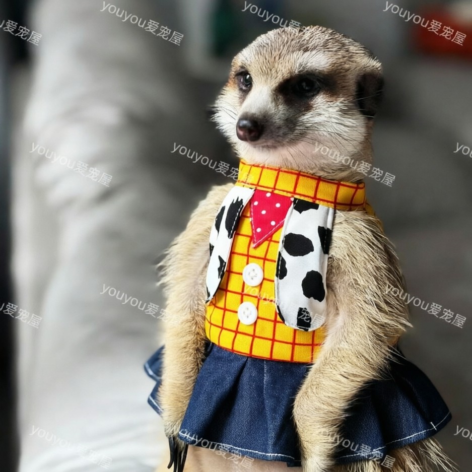 【牵引胸背衣服】狐獴衣服丁满黑猫宠物服装/雨衣（新