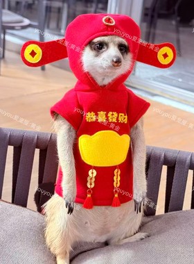 春季新年财神卫衣狐獴衣服黑尾土拨鼠龙猫貂丁满荷兰猪等小宠衣服