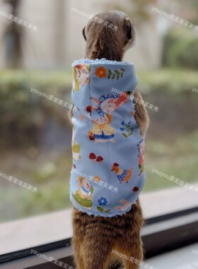 秋冬保暖可爱防风衣狐獴松鼠黑尾土拨鼠雪貂荷兰猪youyou爱宠屋