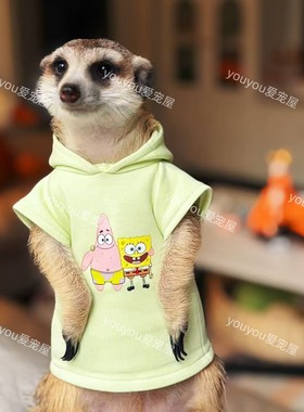 新款春季纯棉可爱卫衣狐獴衣服丁满黑尾土拨鼠龙猫貂小浣熊等可定