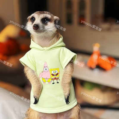 新款秋冬纯棉可爱卫衣狐獴衣服丁满黑尾土拨鼠龙猫貂小浣熊可定制