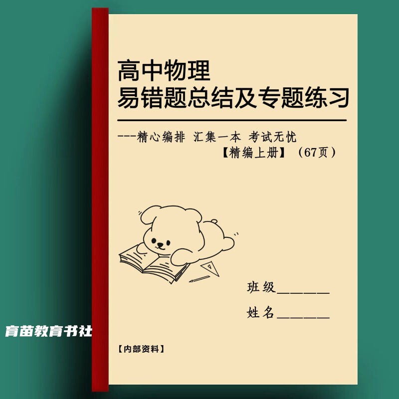 高中物理精讲易错题常考总结专题