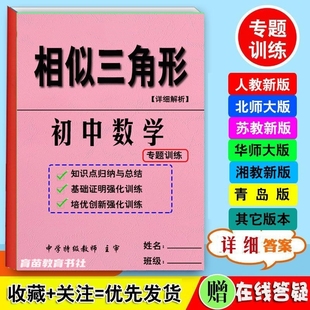 初三九年级数学相似三角形的证明常考专题知识点培优专项训练习本