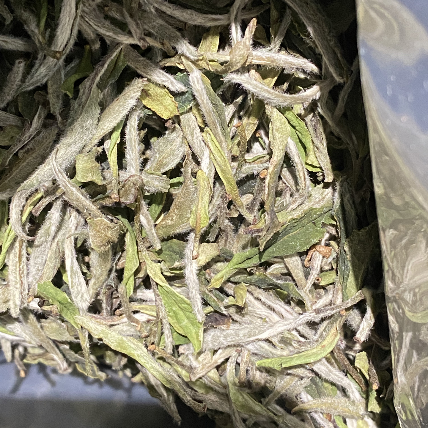 2025年春茶炭焙特级白牡丹500克