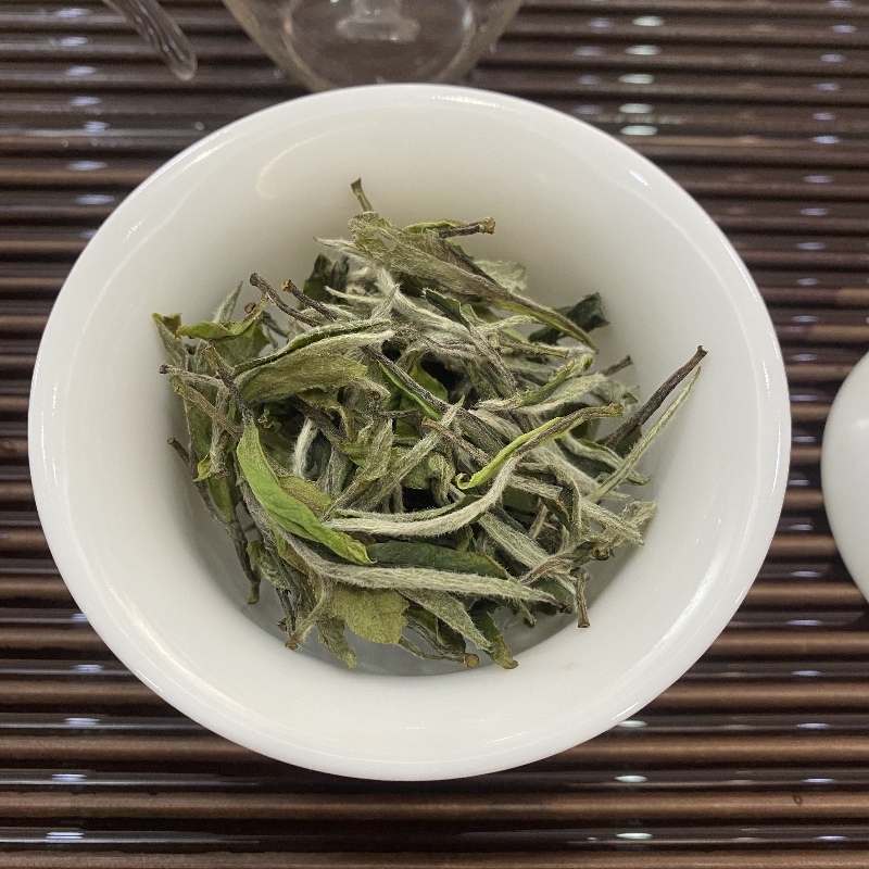 陈孝金磻溪2024年明前一级白牡丹福鼎白茶散茶鲜爽清甜花香自己喝