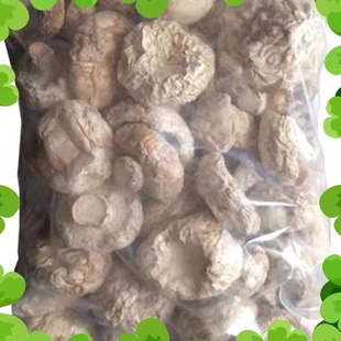 500克张家口张北坝上特产草原匠雪荞白蘑菇香菇干货口蘑蘑菇食用