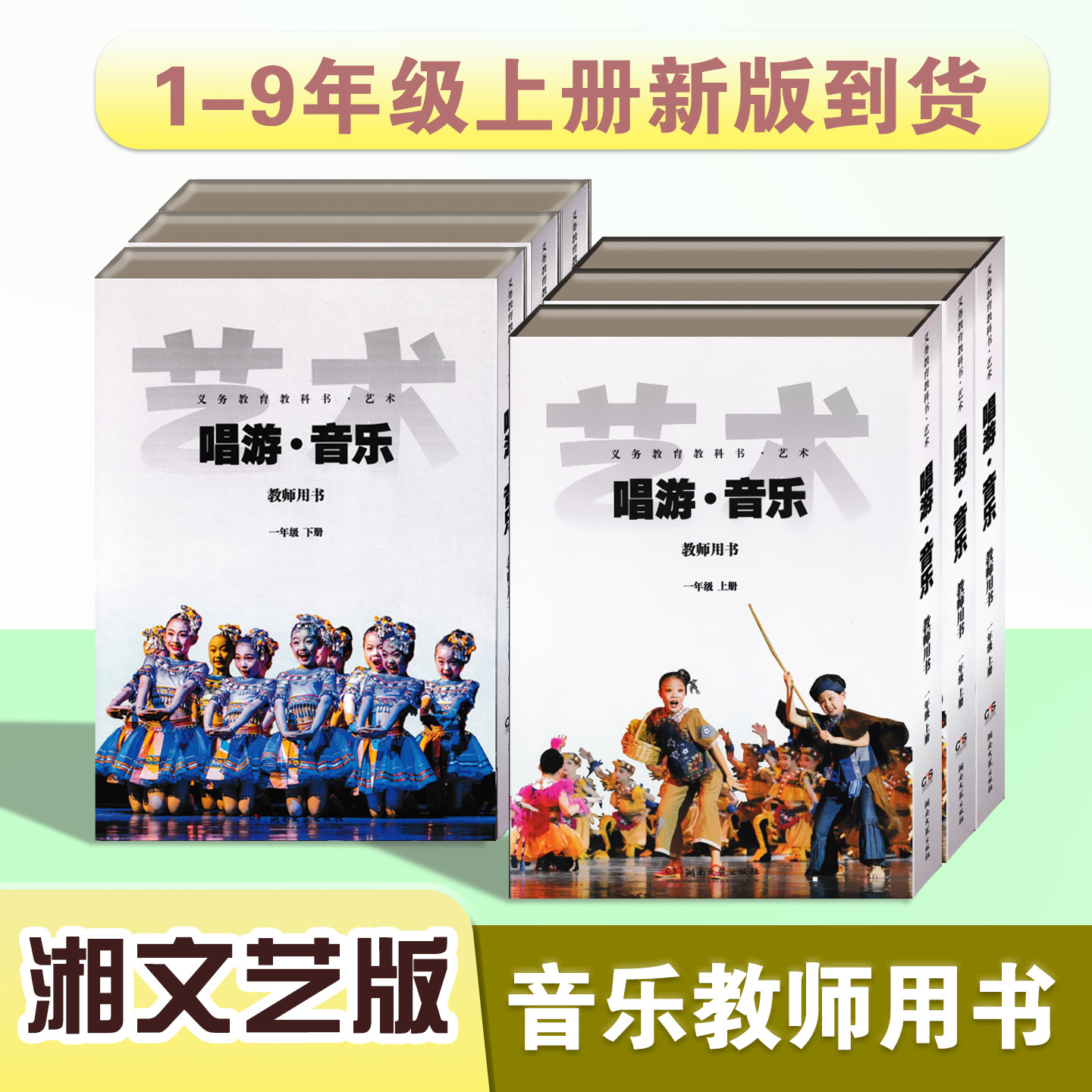 2026全新版湖南文艺版音乐教师书
