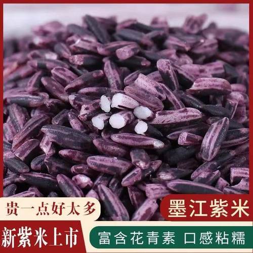 紫米新米正宗云南墨江紫糯米酒酿老品种血糯米黑糯米五谷杂粮低脂