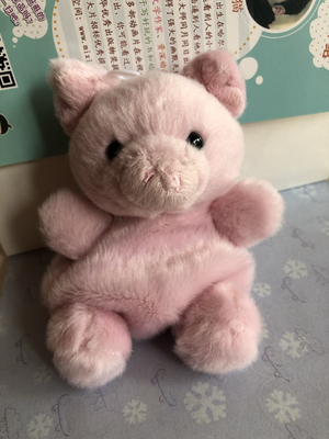 豆袋粉猪卡标剪 瑕疵是鼻孔歪鼻子有缝合痕迹 长绒毛看不到可忽视