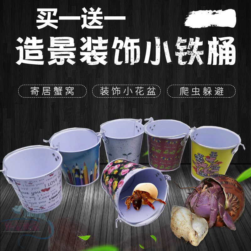 造景装饰小铁桶寄居蟹躲避窝仓鼠窝蜗牛爬虫蜥蜴角蛙蛇躲藏窝花盆