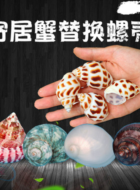 天然海螺寄居蟹专用替换壳水族箱装饰贝壳水食盆卷贝鱼缸造景摆件