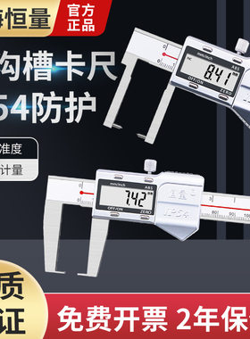恒量外沟槽数显游标卡尺扁头尖头