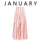 高腰显瘦直筒裤 JANUARY 女2025夏季 今年流行高级裙裤 戚薇明星同款