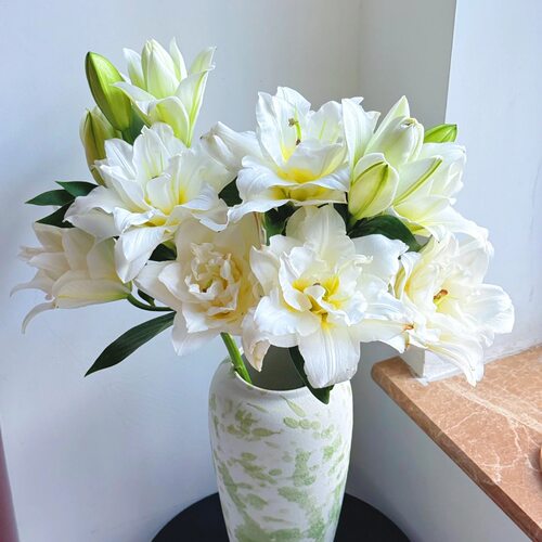 【暴风雪 重瓣香水百合】浓香型云南鲜切花基地直发