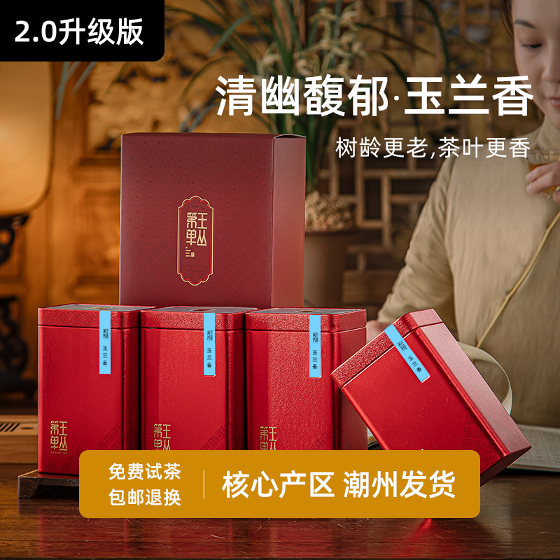 玉兰香凤凰单枞茶潮州乌岽高山